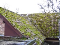 Roof before cleaning showing moss and lichen on roof and blocking gutter